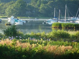 Our view of the ocean