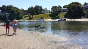 Playing in the water. 