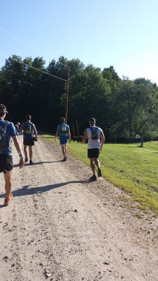 A quick stop for sheep herding.