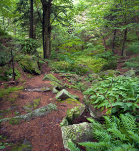 Jim Block Photography